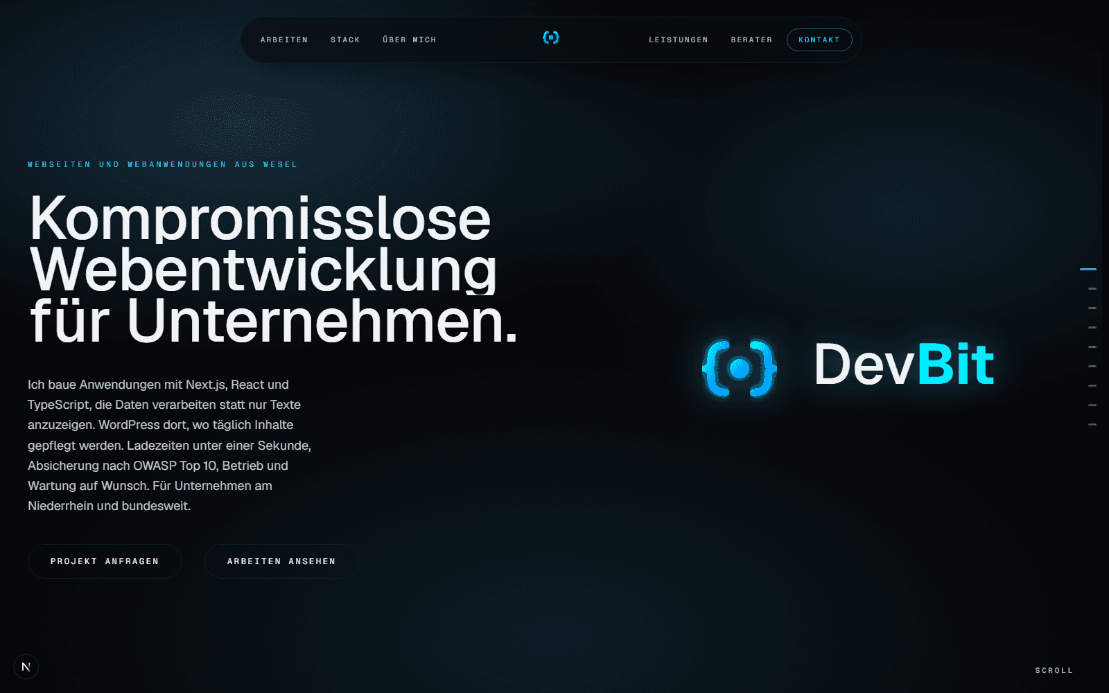 Startseite von DevBit mit großer Überschrift, Wort-Bild-Marke und Schaltflächen zur Anfrage